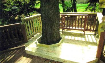 Decking Around Tree